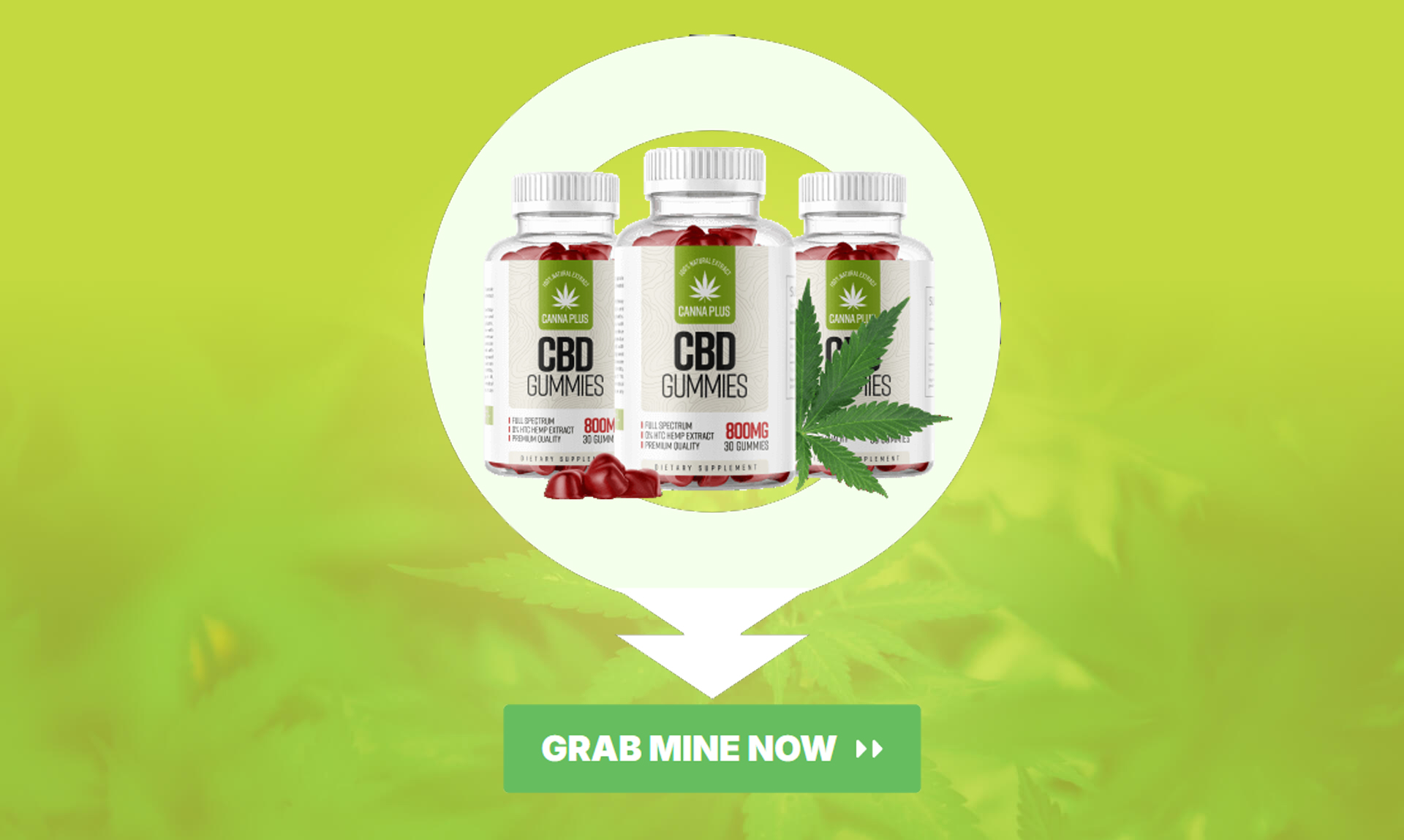 Canna Plus CBD Gummies